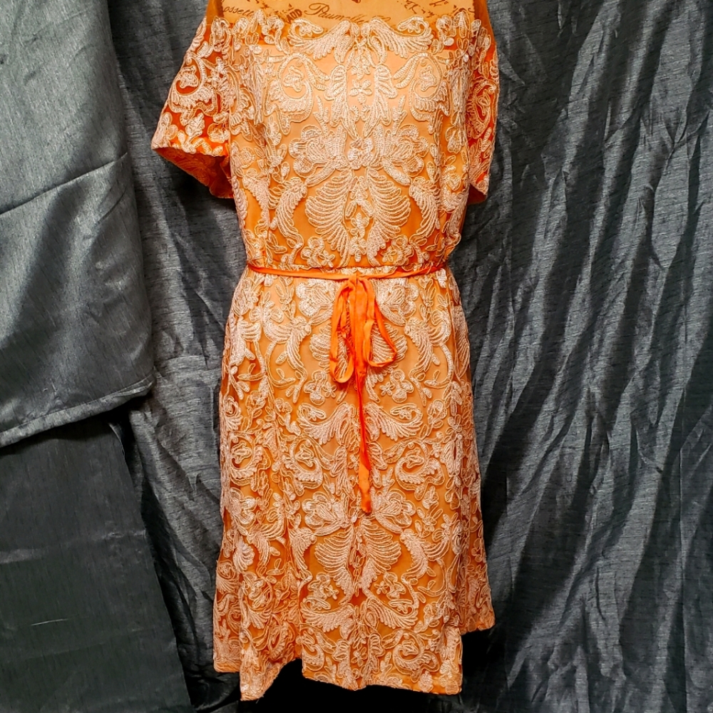 Violets and Rose short sleeve peach ladies dress